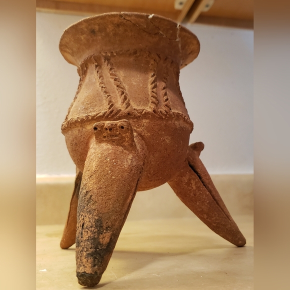 Meet your Posher, Christopher - Picture 5 of 10